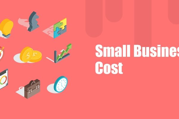 Small Business Cost